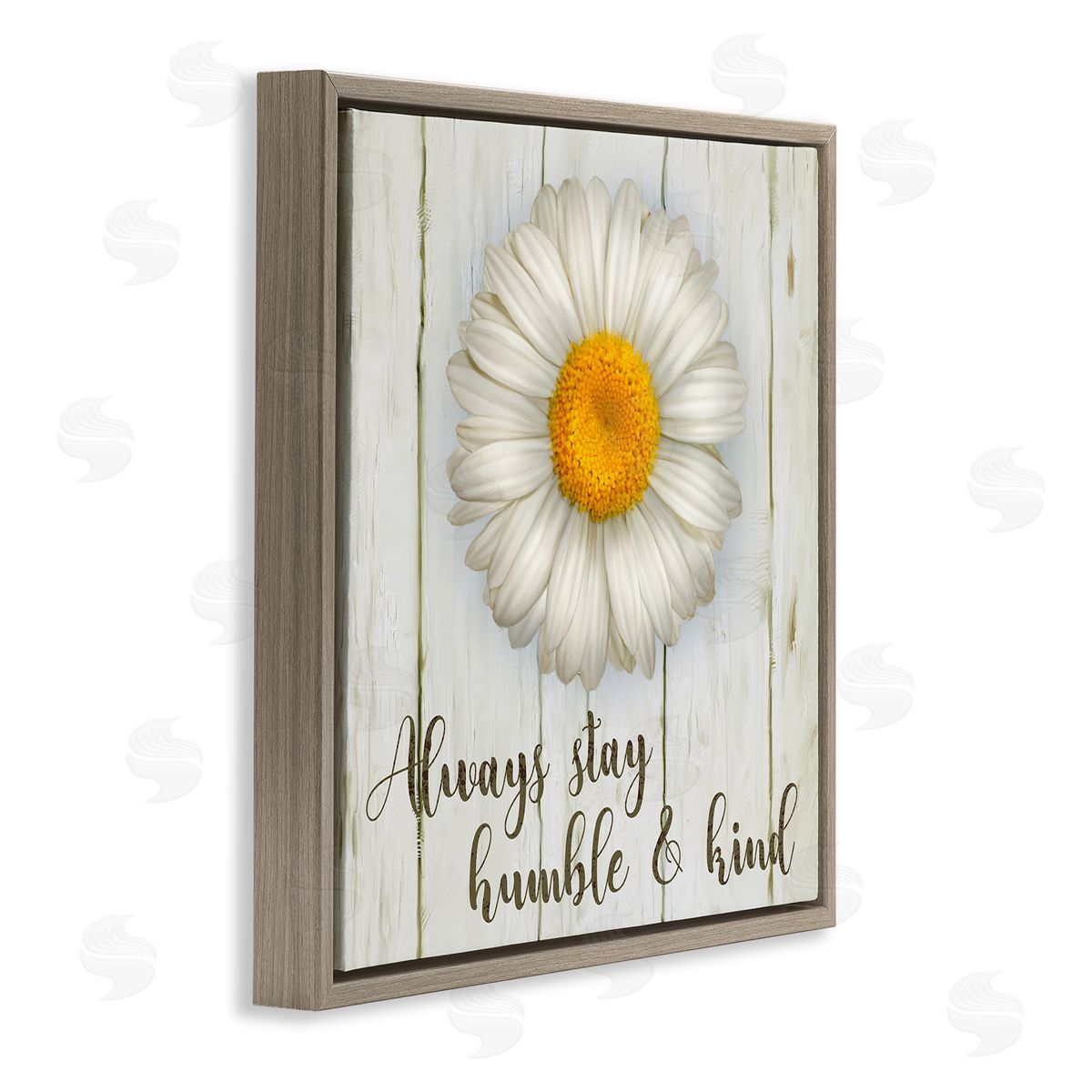 Always Stay Humble Daisy Brown Floating Frame Canvas Wall Art, Home Decor by Ziwei Li