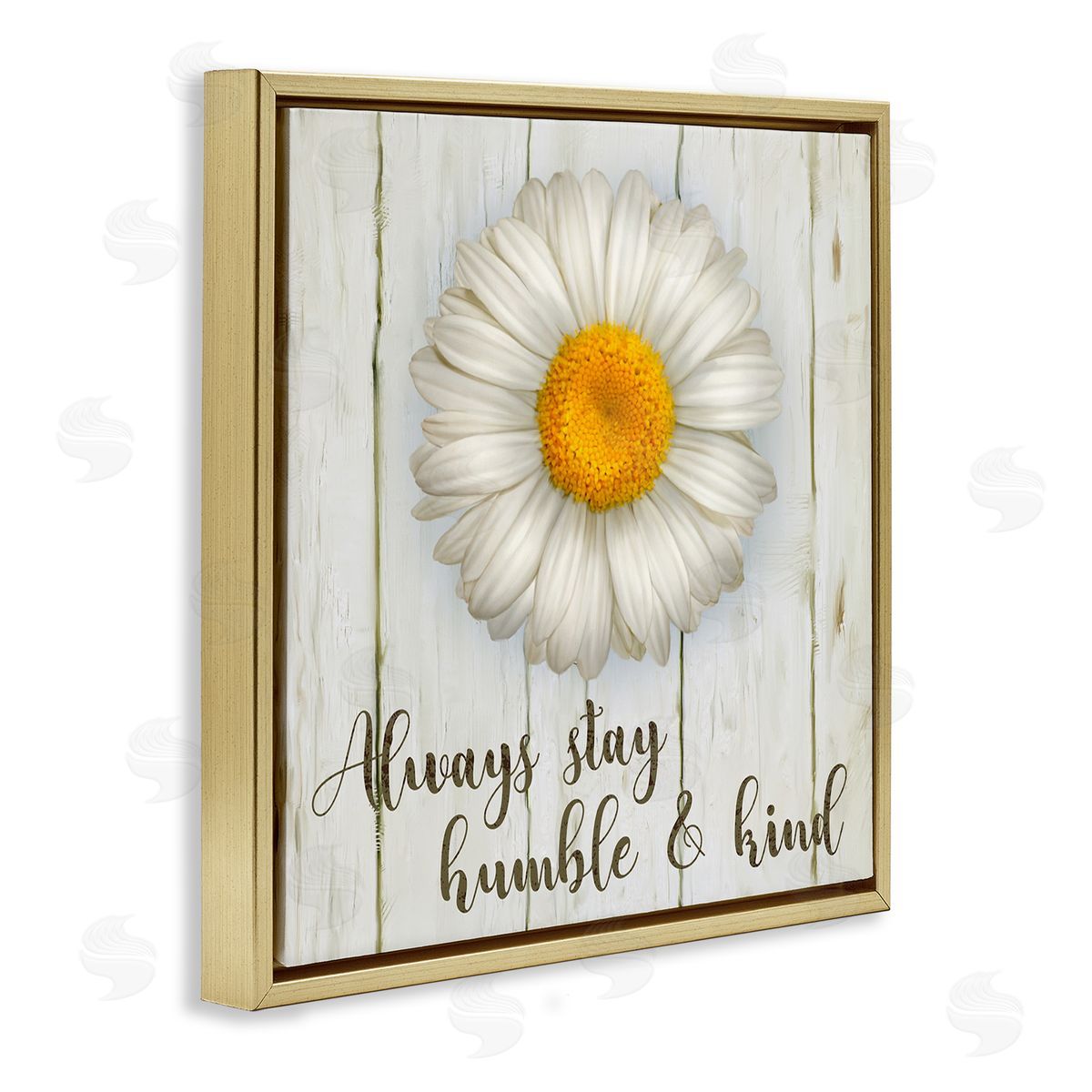 Always Stay Humble Daisy Gold Floating Frame Canvas Wall Art, Home Decor by Ziwei Li
