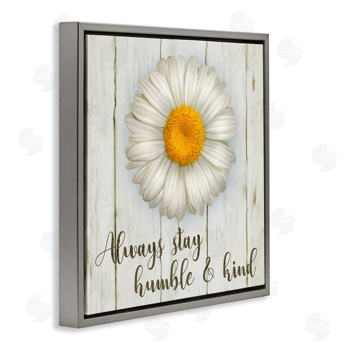 Always Stay Humble Daisy Grey Floating Frame Canvas Wall Art, Home Decor by Ziwei Li
