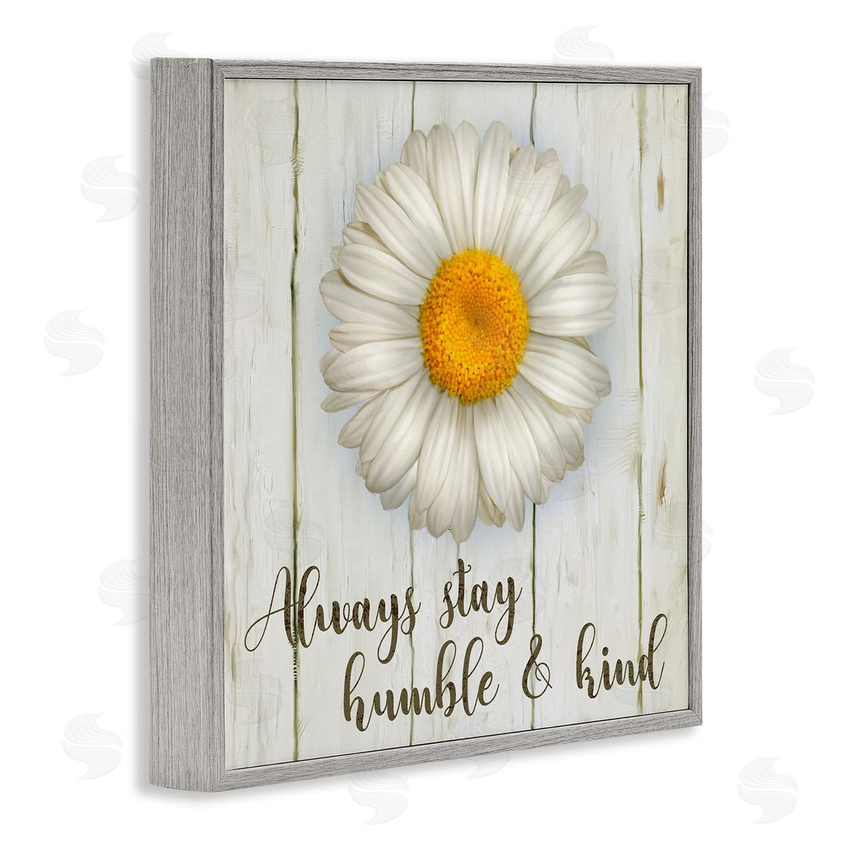 Always Stay Humble Daisy Grey Frame Print Wall Art, Home Decor by Ziwei Li