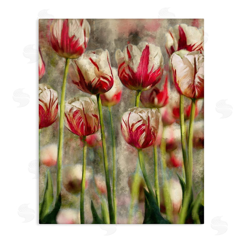 Ziwei Li | Pink and White Tulips