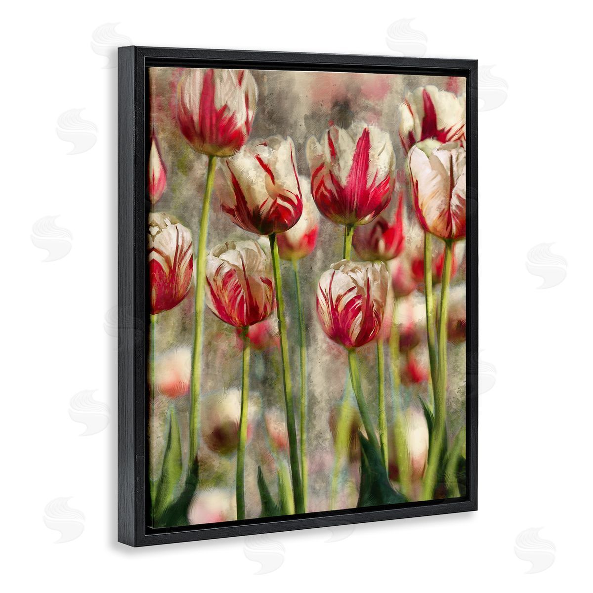 Pink and White Tulips Black Floating Frame Canvas Wall Art, Home Decor by Ziwei Li