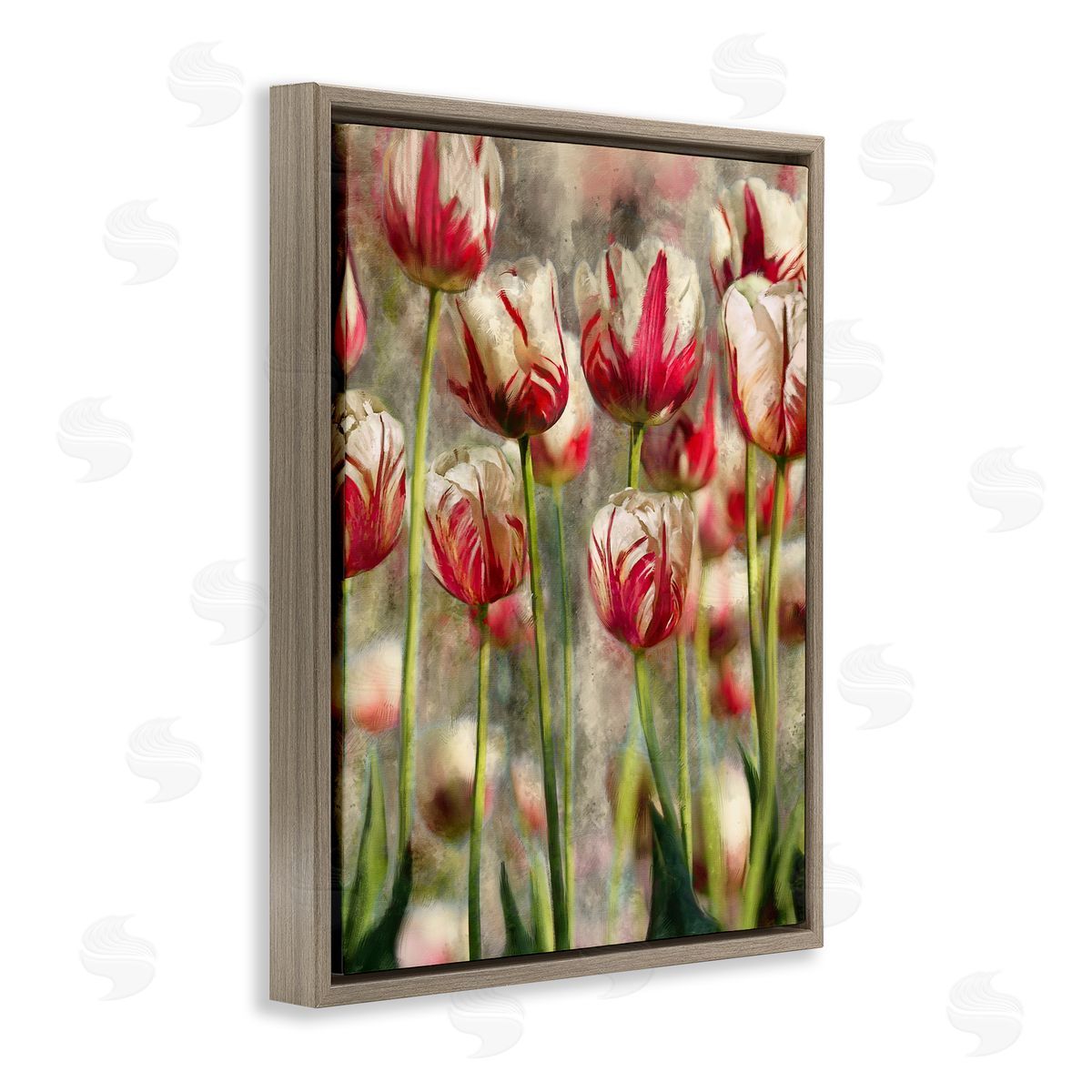 Pink and White Tulips Brown Floating Frame Canvas Wall Art, Home Decor by Ziwei Li