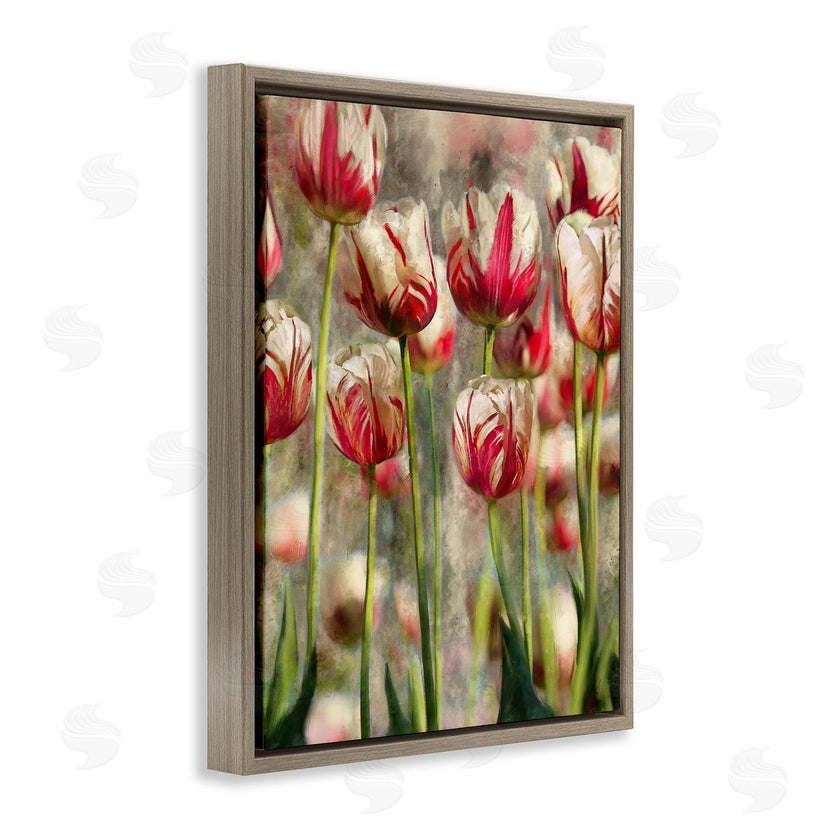 Ziwei Li | Pink and White Tulips