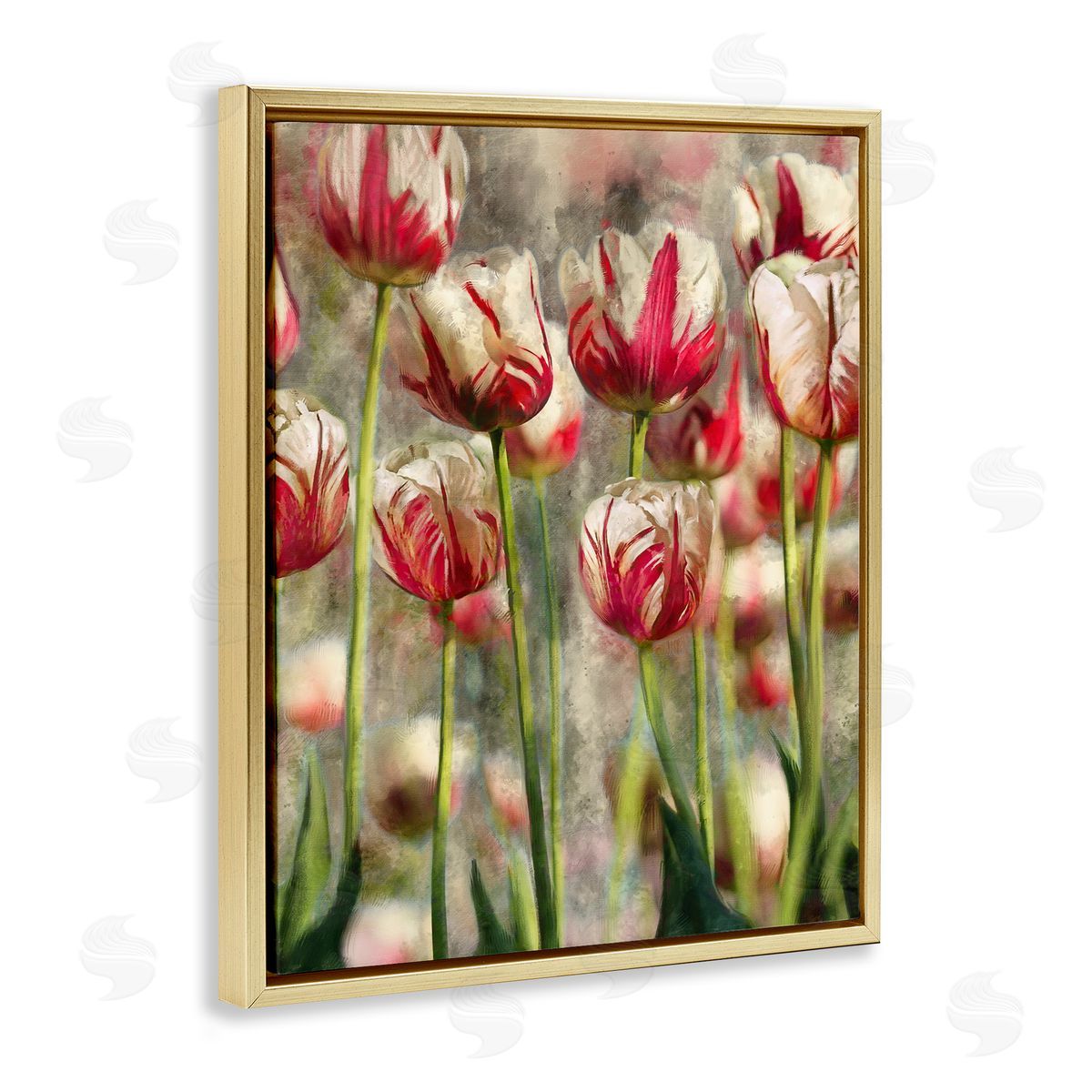 Pink and White Tulips Gold Floating Frame Canvas Wall Art, Home Decor by Ziwei Li