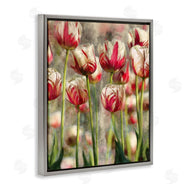 Ziwei Li | Pink and White Tulips