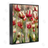 Ziwei Li | Pink and White Tulips