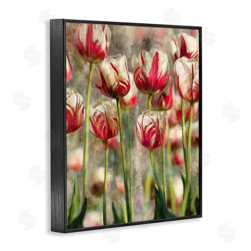 Ziwei Li | Pink and White Tulips