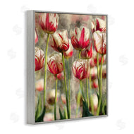Ziwei Li | Pink and White Tulips