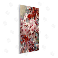 Ziwei Li | Clustered Pink Flower Blossoms