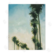 KC Haxton | Hollywood Palm Trees