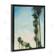 KC Haxton | Hollywood Palm Trees