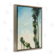 KC Haxton | Hollywood Palm Trees