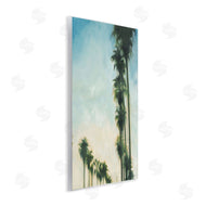 KC Haxton | Hollywood Palm Trees