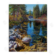Andrew Kiss | Stoney Creek Forest Landscape
