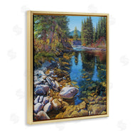 Andrew Kiss | Stoney Creek Forest Landscape
