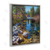 Andrew Kiss | Stoney Creek Forest Landscape