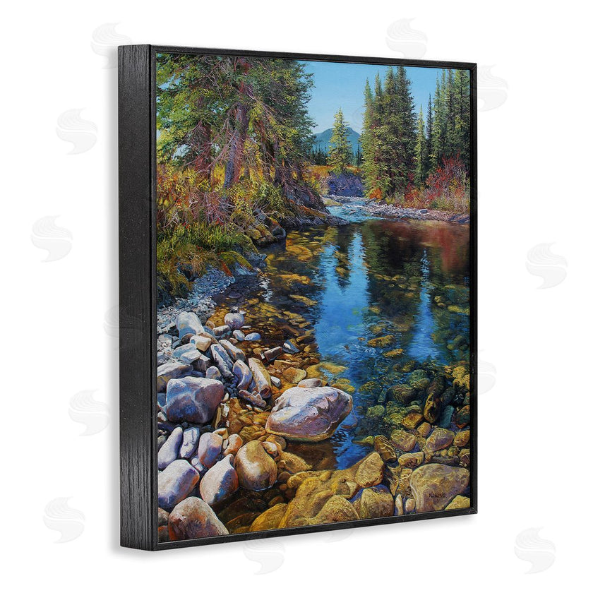 Andrew Kiss | Stoney Creek Forest Landscape