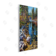 Andrew Kiss | Stoney Creek Forest Landscape