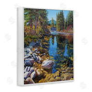 Andrew Kiss | Stoney Creek Forest Landscape