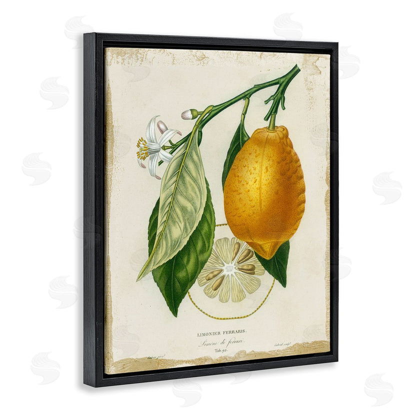 Studio W | Vintage French Lemon Branch