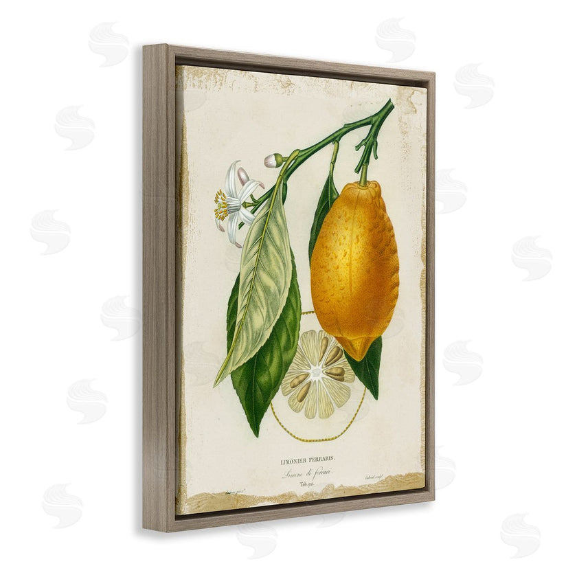 Studio W | Vintage French Lemon Branch