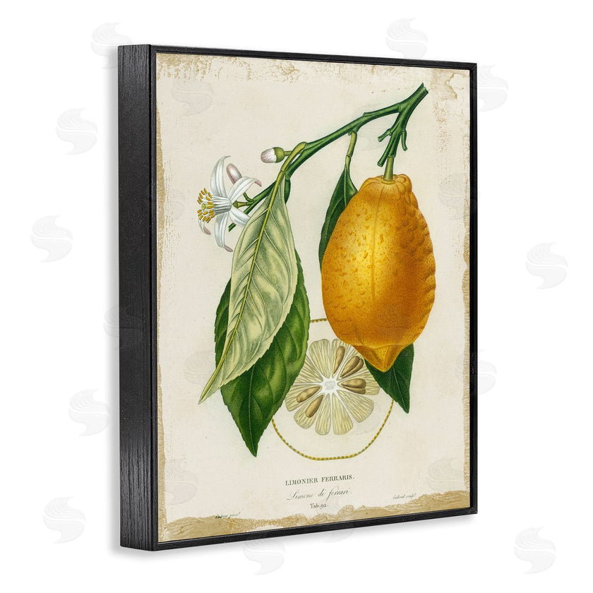 Studio W | Vintage French Lemon Branch