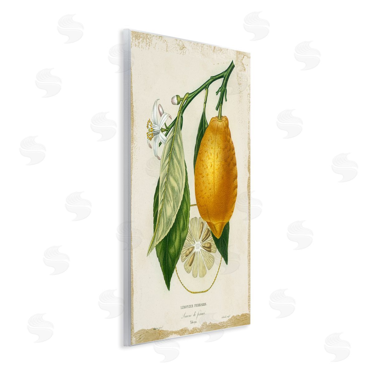 Vintage French Lemon Branch Wood Plaque Wall Art, Home Decor by Studio W