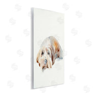 Jennifer Paxton Parker | Scruffy Dog Laying Down Painting
