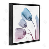 Albert Koetsier | Opaque Tulip Blue Pink Photograph