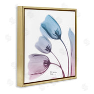 Albert Koetsier | Opaque Tulip Blue Pink Photograph