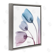 Albert Koetsier | Opaque Tulip Blue Pink Photograph
