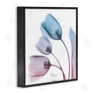 Albert Koetsier | Opaque Tulip Blue Pink Photograph