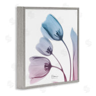Albert Koetsier | Opaque Tulip Blue Pink Photograph