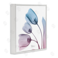 Albert Koetsier | Opaque Tulip Blue Pink Photograph