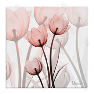 Albert Koetsier | Red Floral Silhouettes Modern Photograph