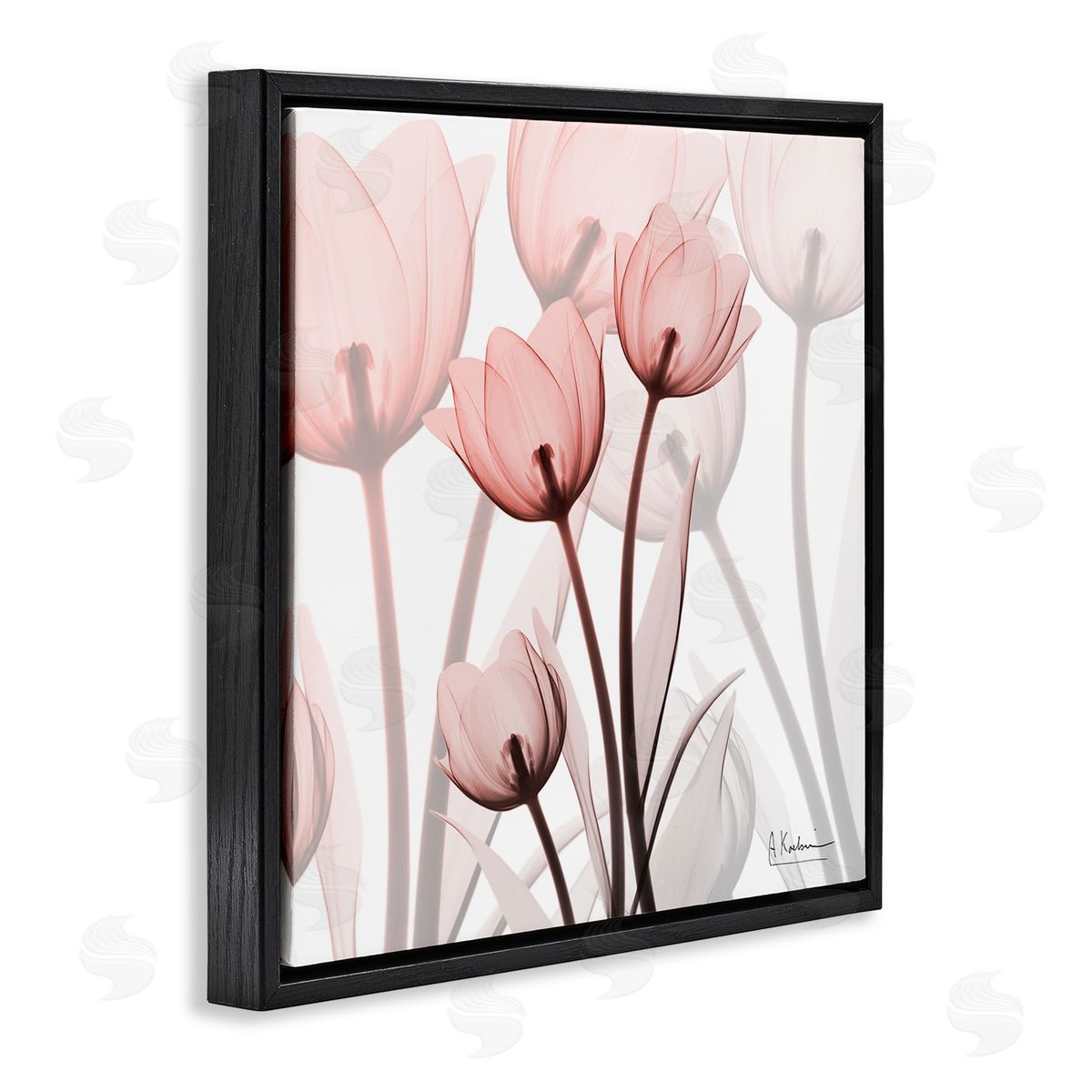 Albert Koetsier Red Floral Silhouettes Modern Photograph Black Floater Frame Canvas Art
