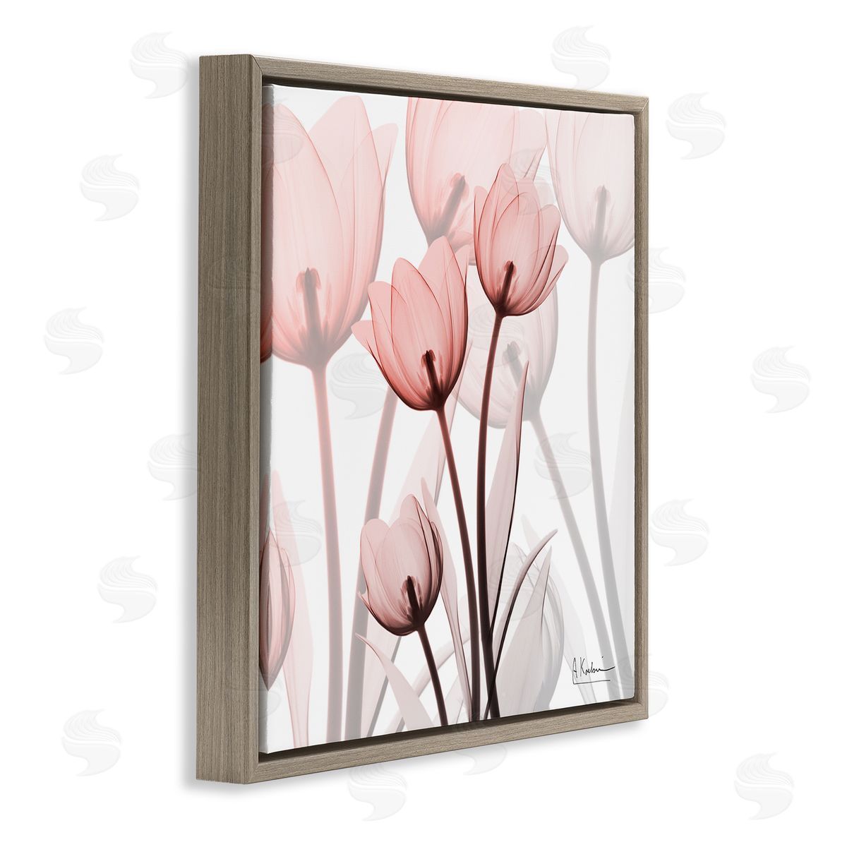 Albert Koetsier Red Floral Silhouettes Modern Photograph Brown Floater Frame Canvas Art