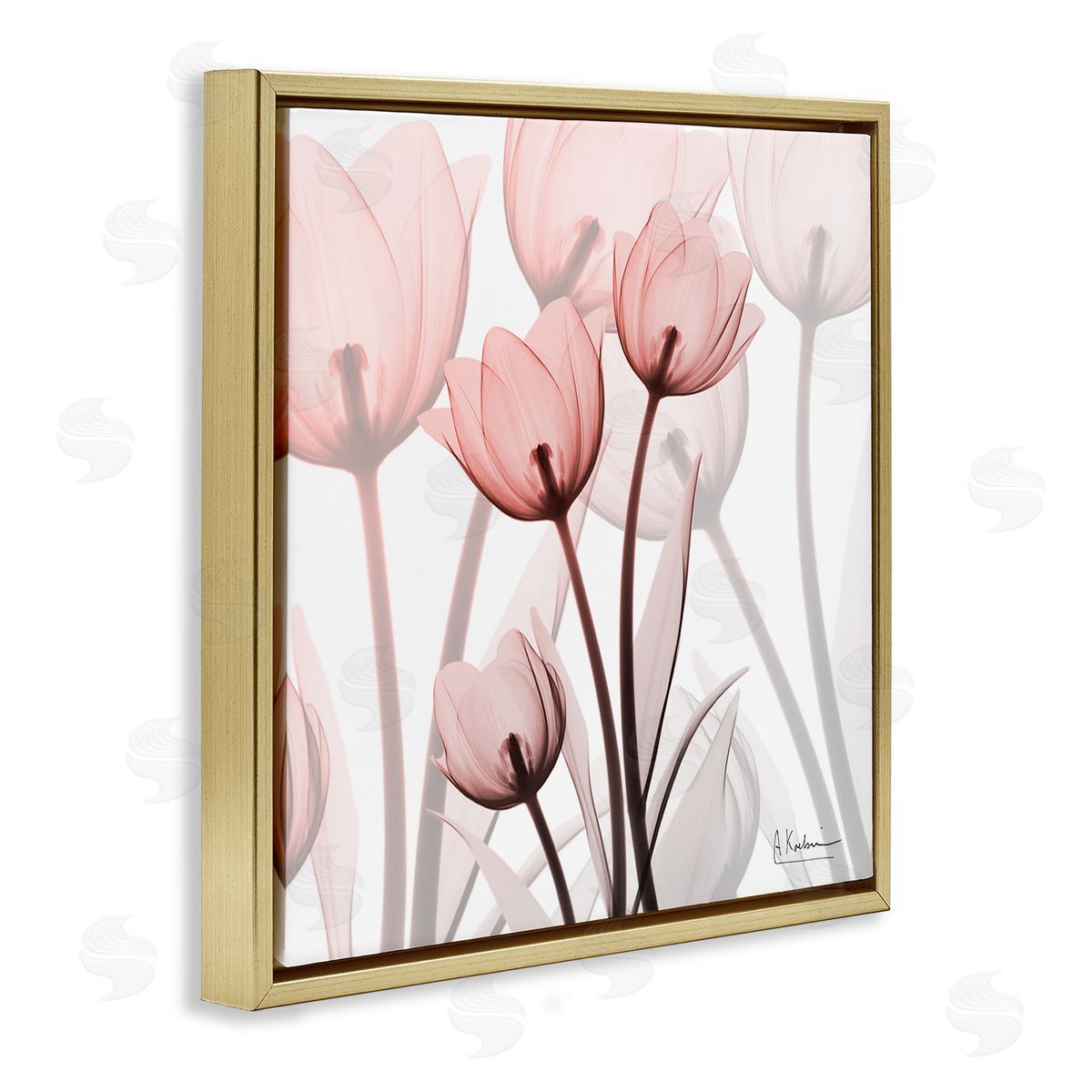 Albert Koetsier Red Floral Silhouettes Modern Photograph Gold Floater Frame Canvas Art