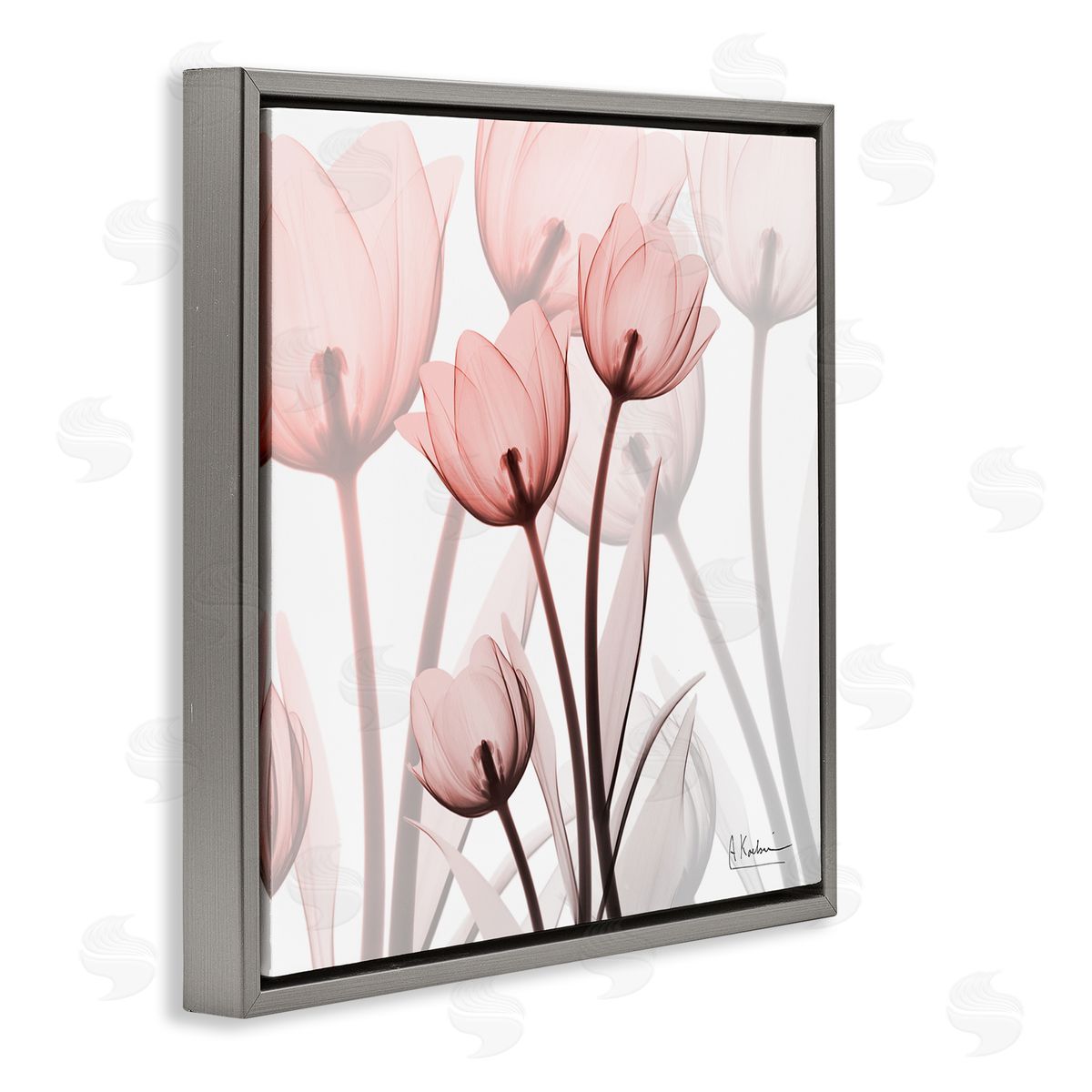 Albert Koetsier Red Floral Silhouettes Modern Photograph Gray Floater Frame Canvas Art