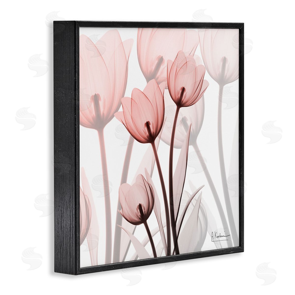 Albert Koetsier Red Floral Silhouettes Modern Photograph Black Framed Giclee Wall Art