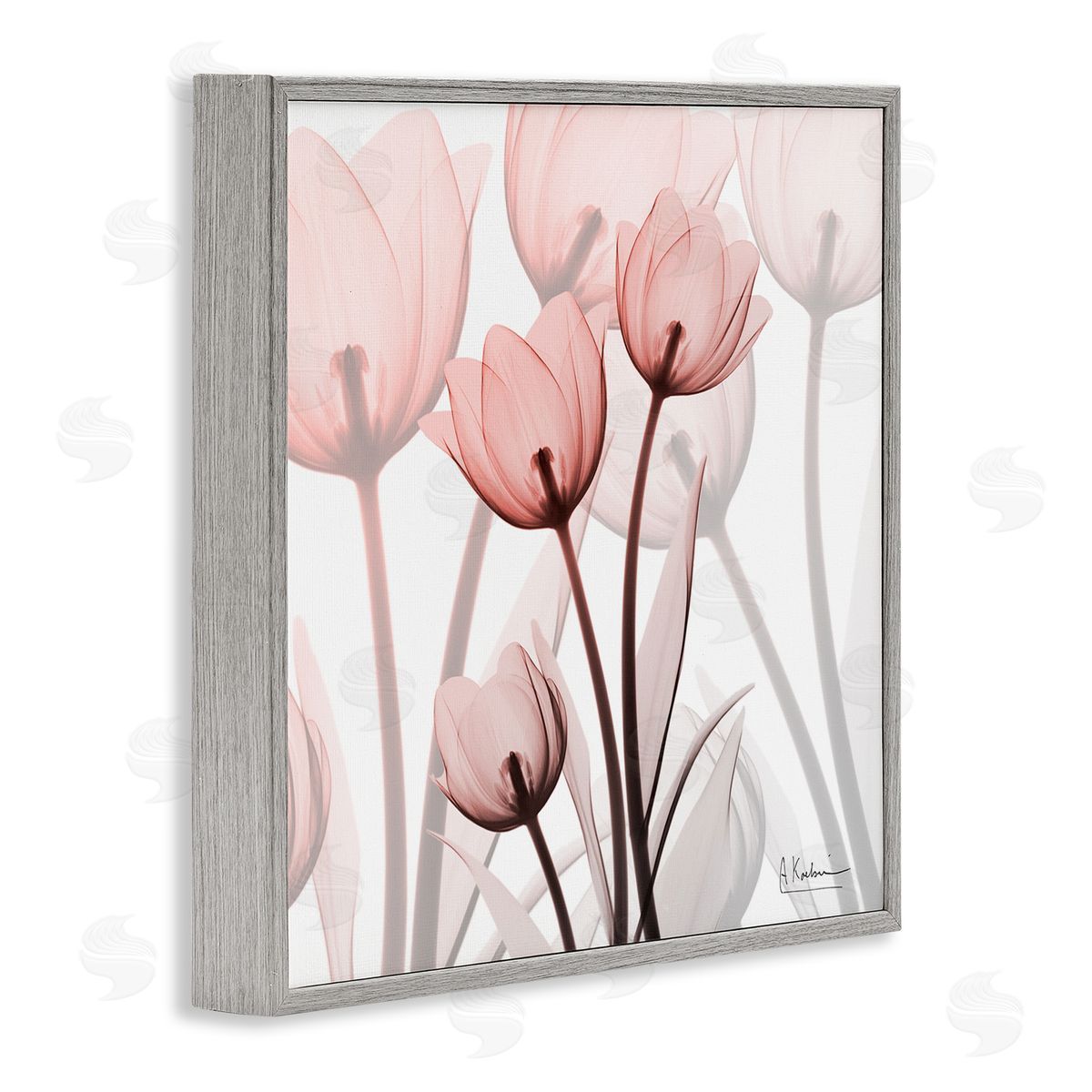 Albert Koetsier Red Floral Silhouettes Modern Photograph Gray Framed Giclee Wall Art