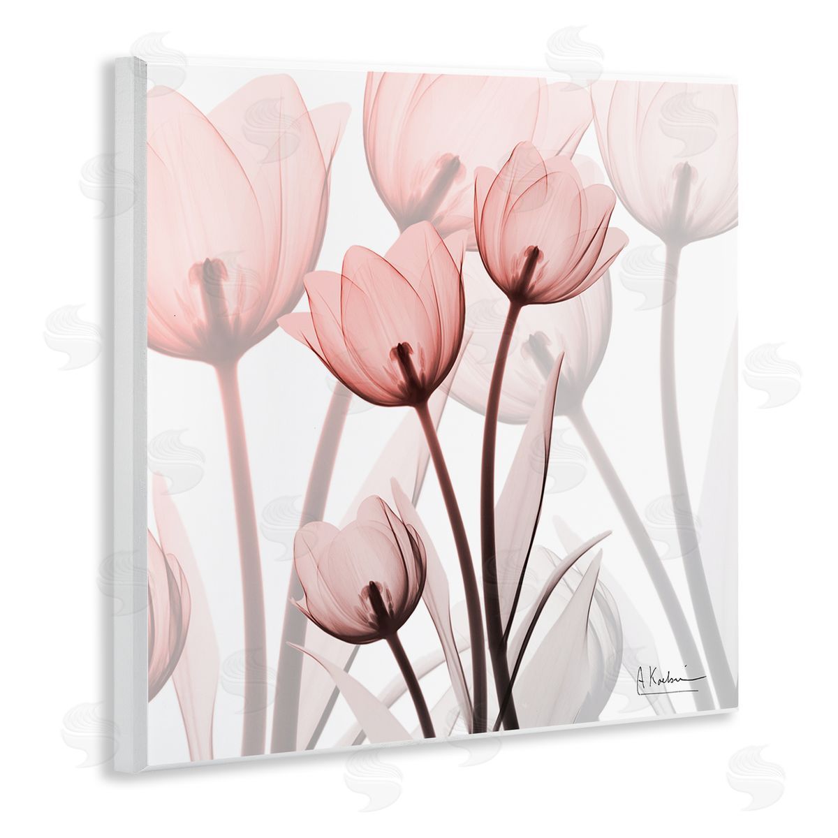 Albert Koetsier Red Floral Silhouettes Modern Photograph Wall Plaque Art