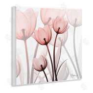 Albert Koetsier | Red Floral Silhouettes Modern Photograph