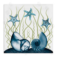 Albert Koetsier | Shells and Starfish Modern Sea Design