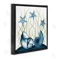 Albert Koetsier | Shells and Starfish Modern Sea Design
