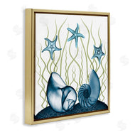 Albert Koetsier | Shells and Starfish Modern Sea Design