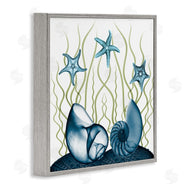 Albert Koetsier | Shells and Starfish Modern Sea Design