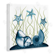 Albert Koetsier | Shells and Starfish Modern Sea Design