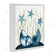 Albert Koetsier | Shells and Starfish Modern Sea Design